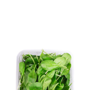 Baby Spinach - immagine 4